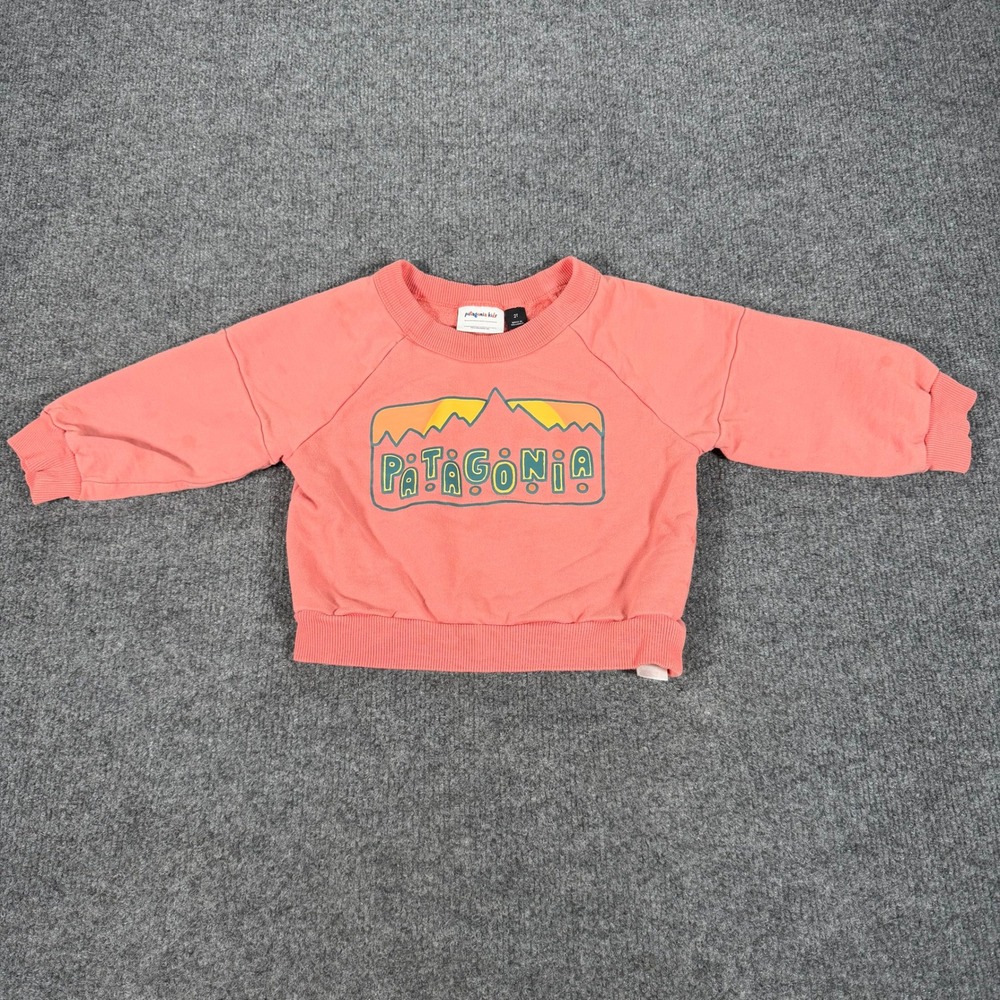 Patagonia Kids 2T Pink Mountain Graphic Cotton Kapok Sweatshirt 60940 #4883